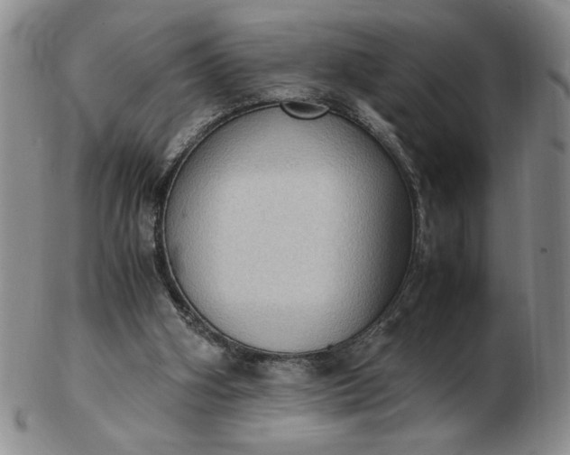 X0000103140106200809051623