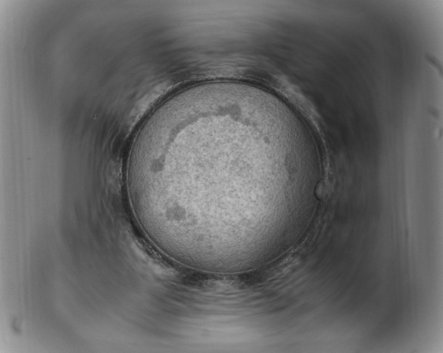 X0000103140107200809051623