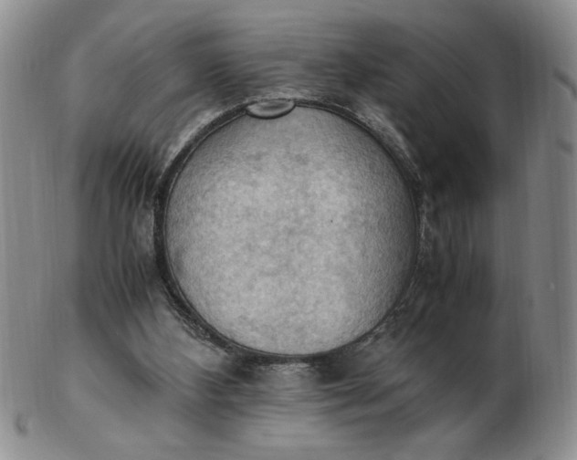 X0000103140108200809051623