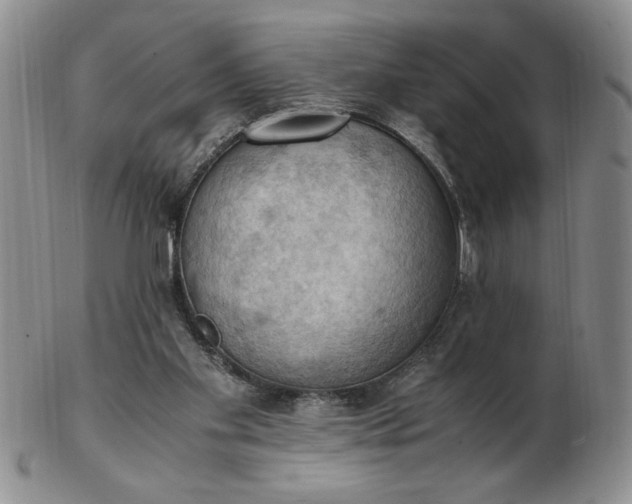 X0000103140109200809051623