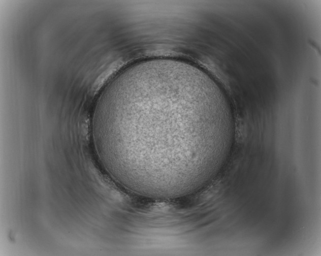 X0000103140111200809051623