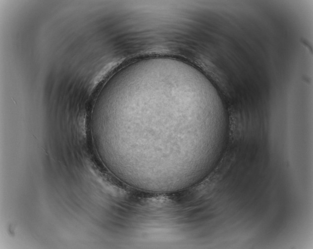 X0000103140112200809051623