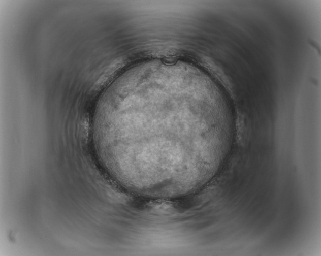 X0000103140113200809051623