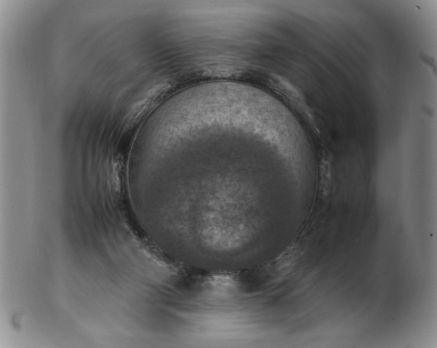 X0000103140114200809051623