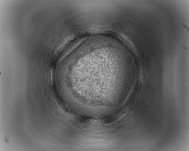 X0000103140115200809051623