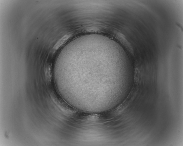 X0000103140116200809051623