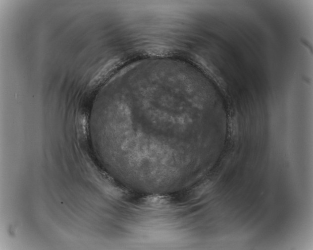 X0000103140117200809051623