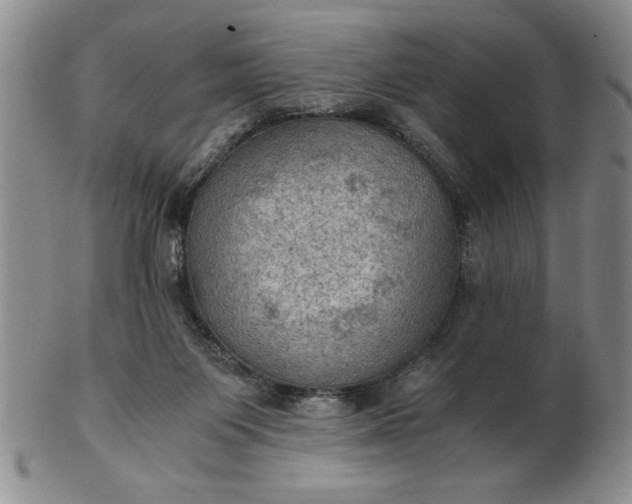 X0000103140119200809051623