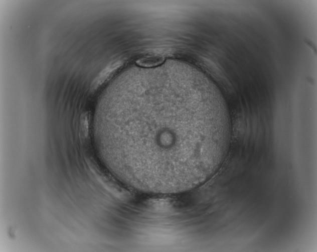 X0000103140120200809051623