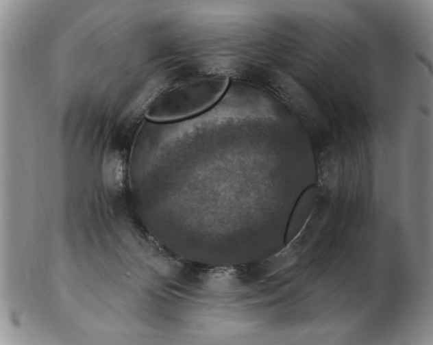 X0000103140124200809051623