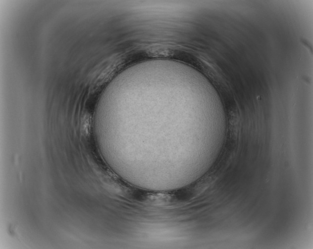 X0000103140125200809051623