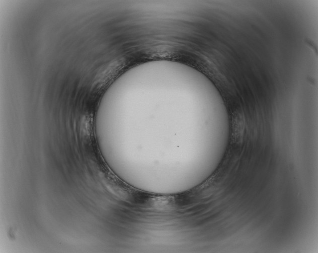 X0000103140126200809051623