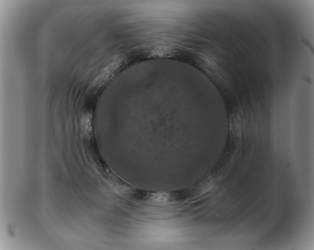 X0000103140127200809051623