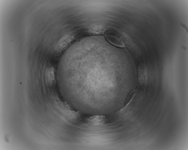 X0000103140128200809051623