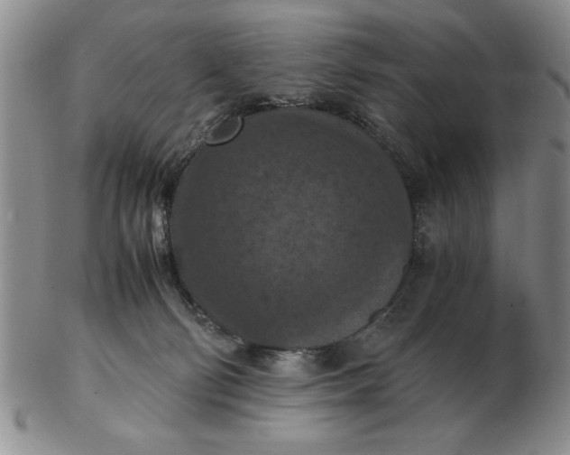 X0000103140130200809051623