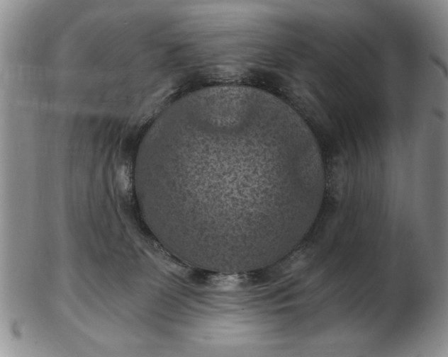 X0000103140131200809051623