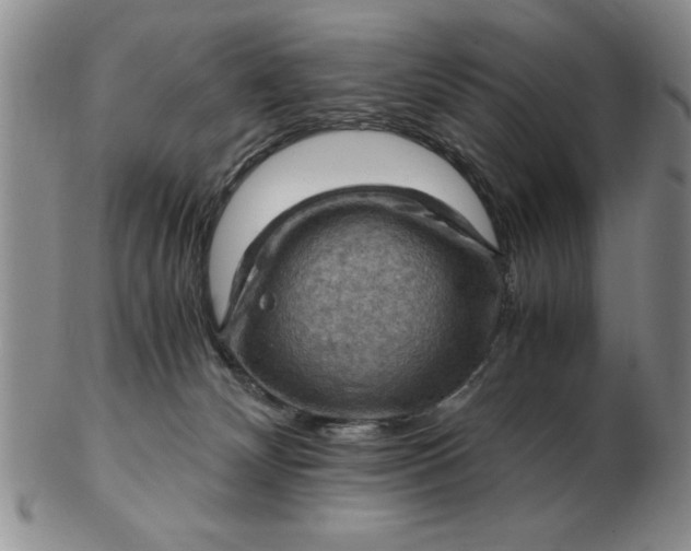 X0000103140132200809051623