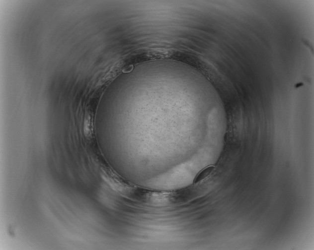 X0000103140134200809051623