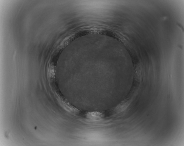 X0000103140137200809051623