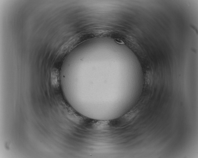 X0000103140138200809051623