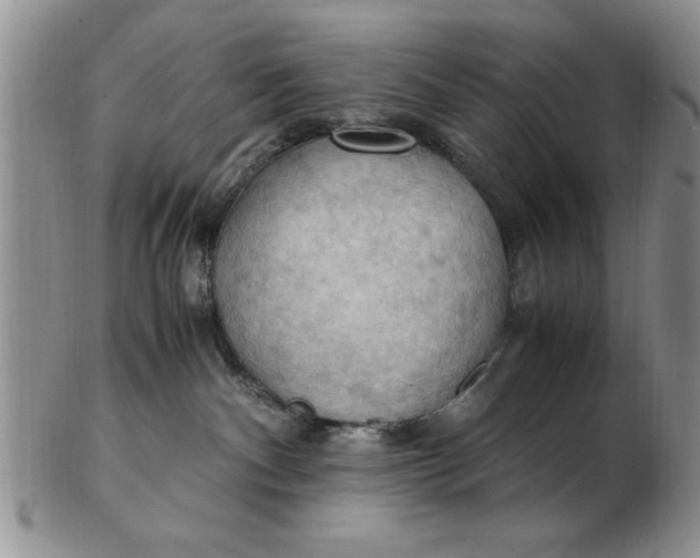 X0000103140140200809051623