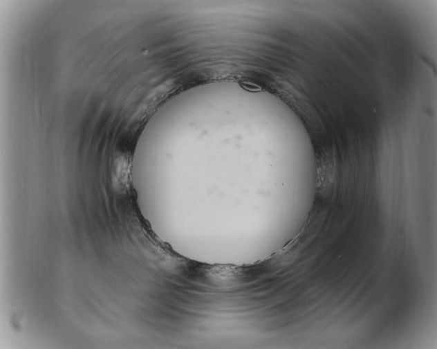 X0000103140142200809051623