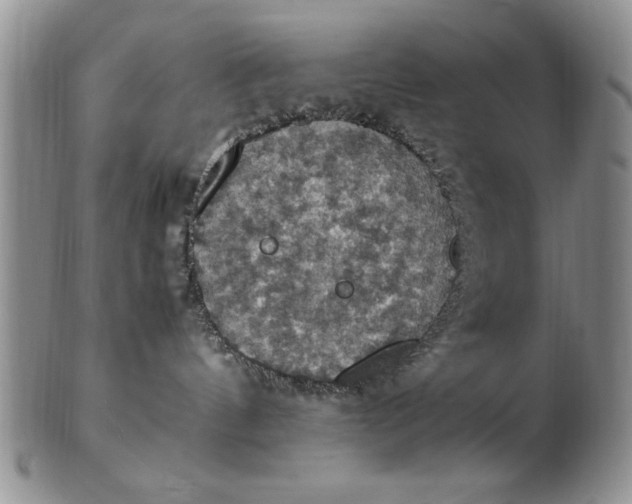 X0000103140144200809051623