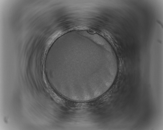 X0000103140145200809051622