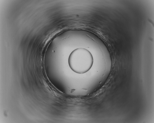 X0000103140146200809051622