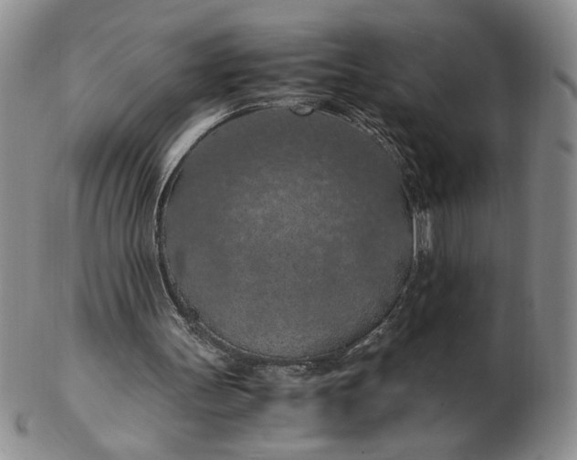 X0000103140147200809051622