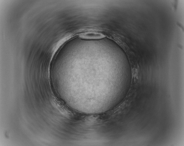 X0000103140148200809051622