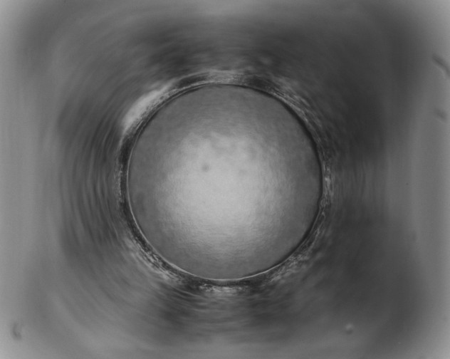 X0000103140149200809051622