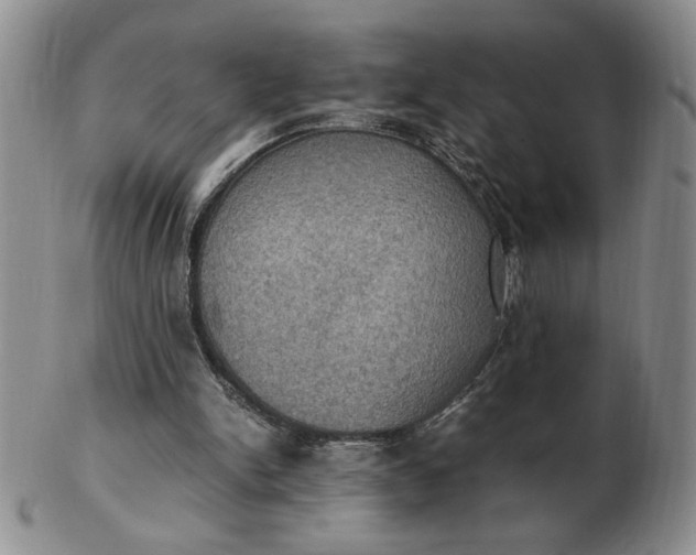 X0000103140150200809051622