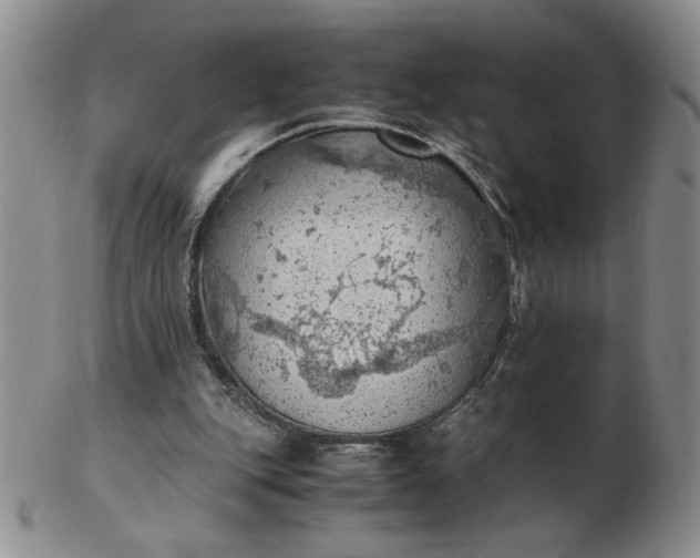 X0000103140151200809051622