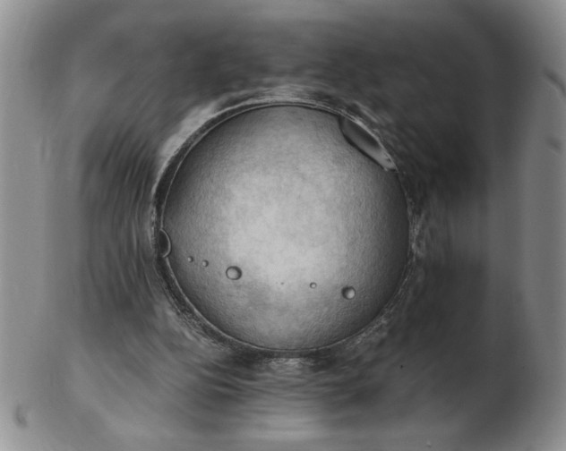 X0000103140152200809051622