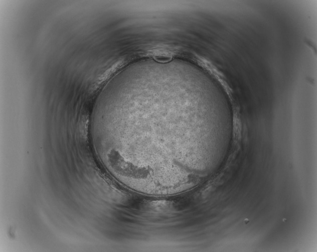 X0000103140153200809051622