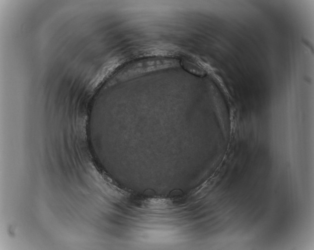 X0000103140154200809051622