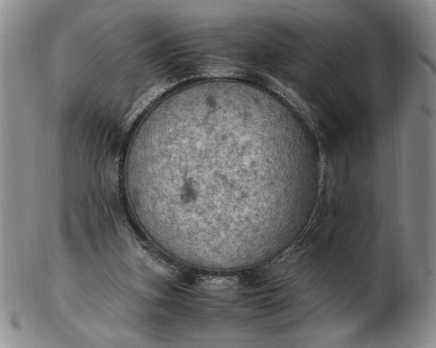 X0000103140155200809051622