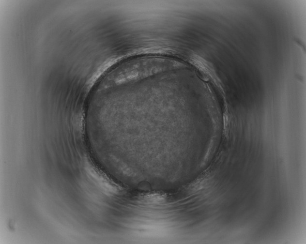 X0000103140156200809051622