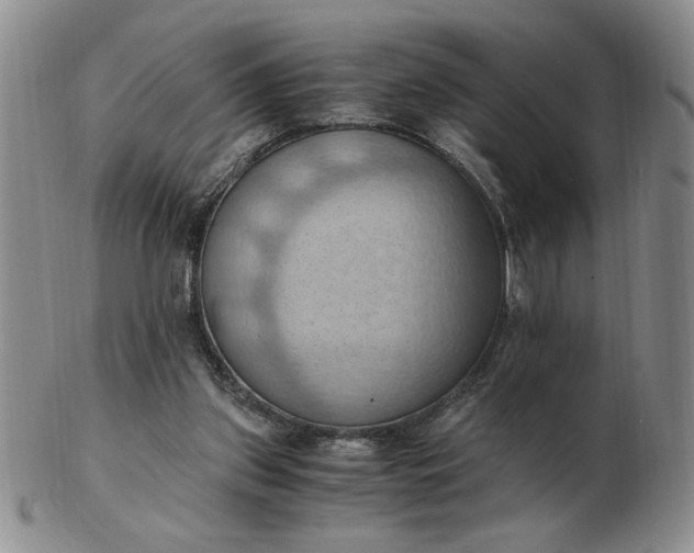 X0000103140157200809051622