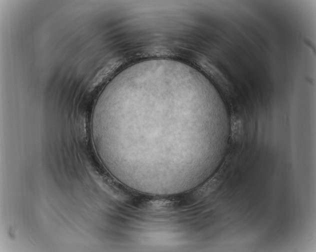 X0000103140158200809051622