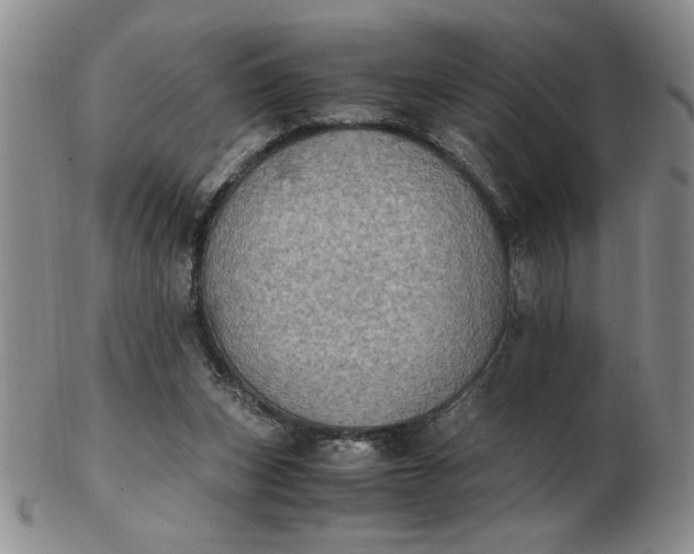 X0000103140159200809051622