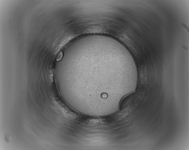 X0000103140160200809051622