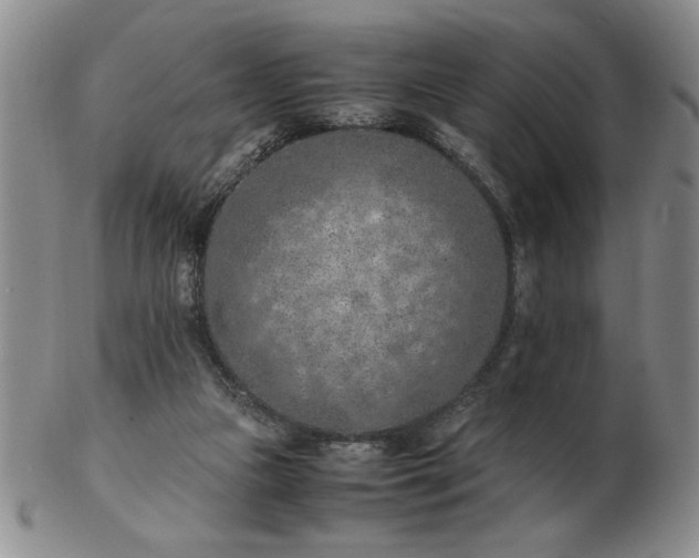 X0000103140161200809051622