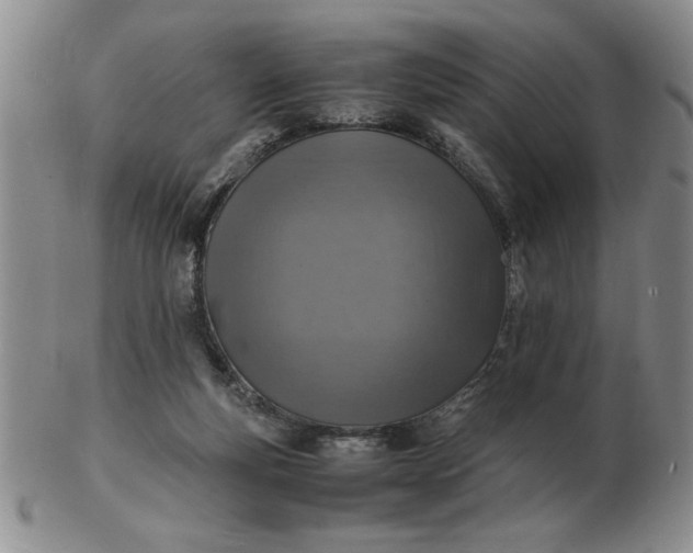 X0000103140163200809051622