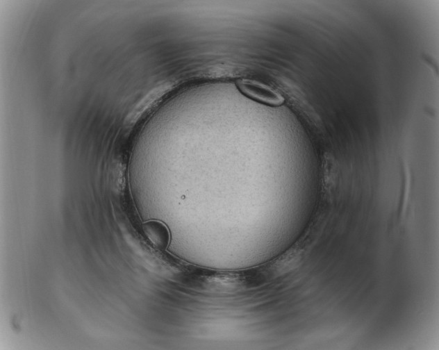 X0000103140164200809051622