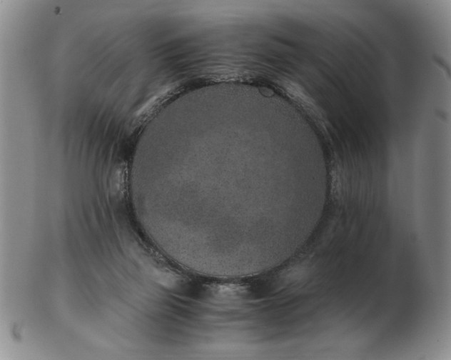 X0000103140165200809051622