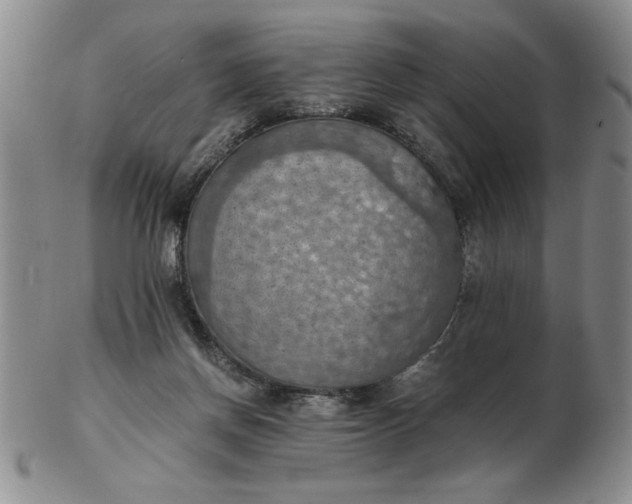 X0000103140166200809051622