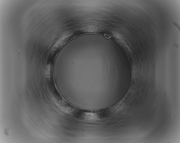 X0000103140167200809051622