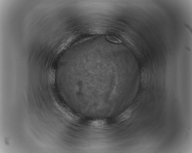 X0000103140168200809051622